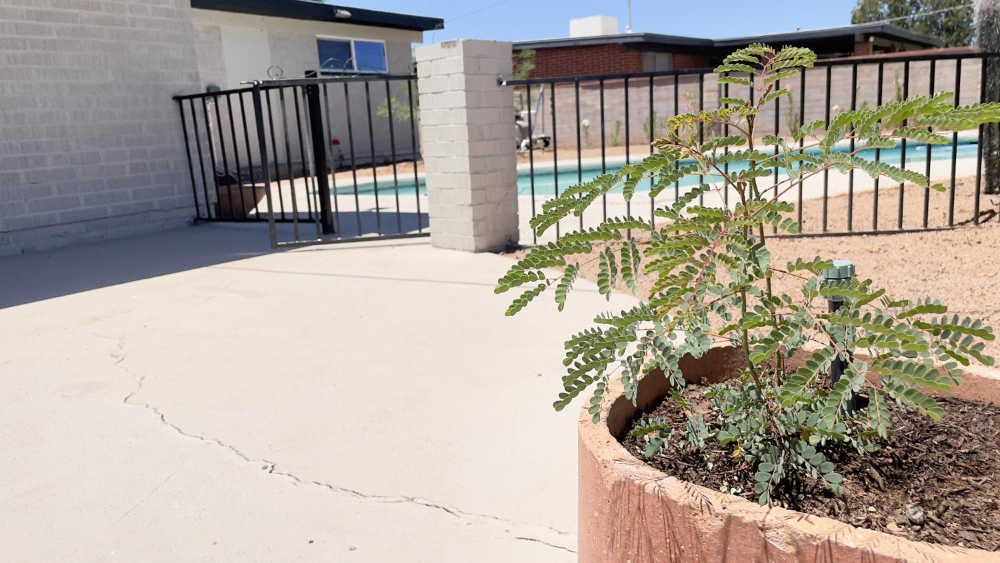 Private Home - Heated Pool, Billiards, Darts, Foosball, Fireplace, 5 Smart Tvs, Bbq, Cotton Bedding - The Saguaro Sanctuary, Pool Heat Optional Тусон Екстериор снимка